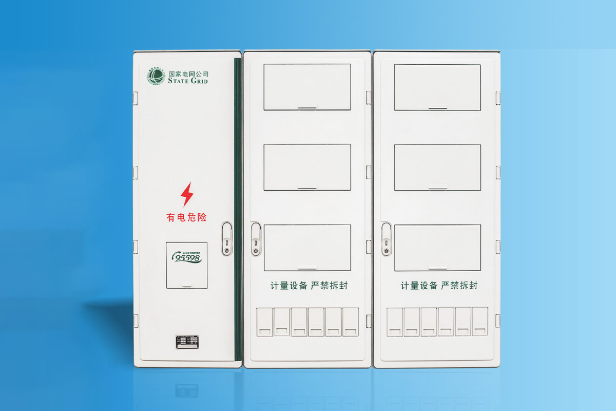CHS-SXD1201X  SMC单相十二表位电能计量箱 38-1